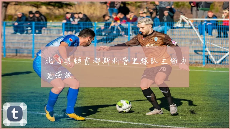 北马其顿首都斯科普里球队主场力克强敌