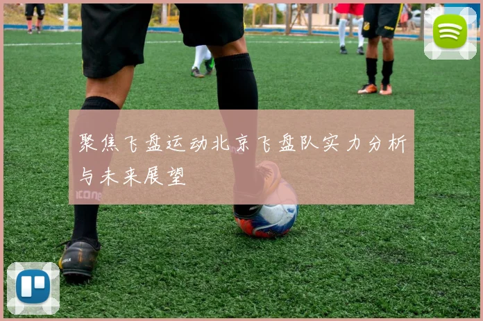 聚焦飞盘运动北京飞盘队实力分析与未来展望